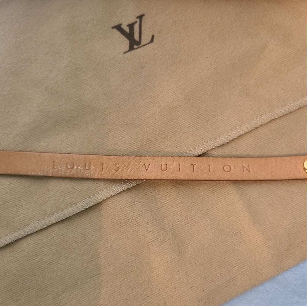 Louis Vuitton Monogram Pouchette Florentine Bum Bag - Picture 15 of 16